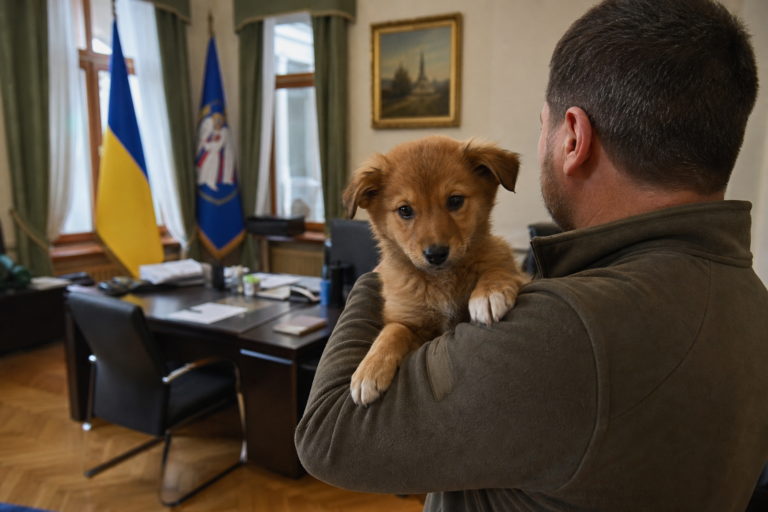Editorial illustration for Zelenskyy Receives Puppy From Terence Crawford in Kyiv