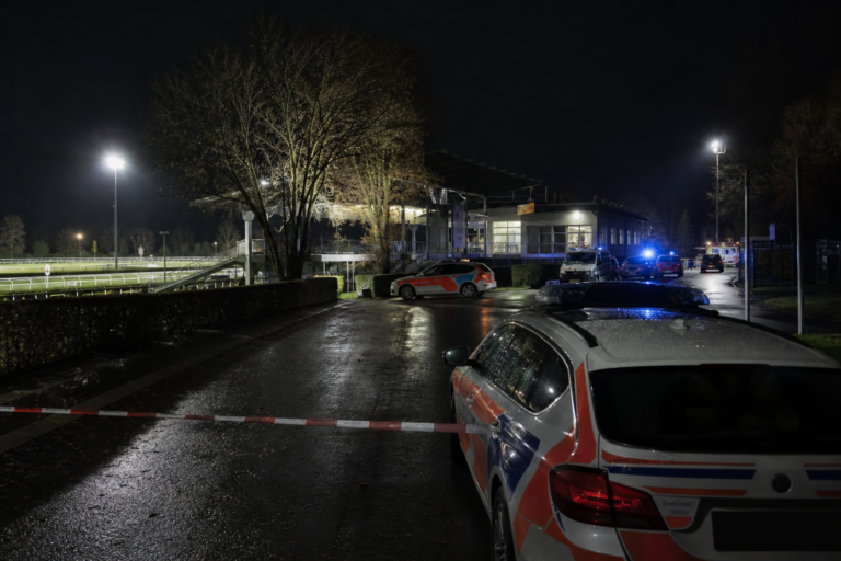 Editorial illustration for One Dead, Five Injured in Shooting Near Rave in Northern Switzerland